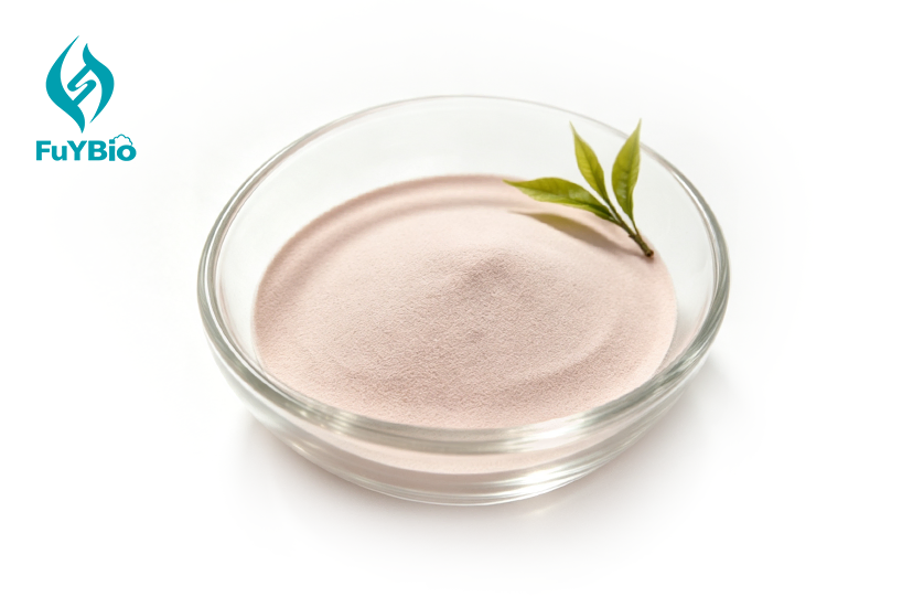 EGCG Extract